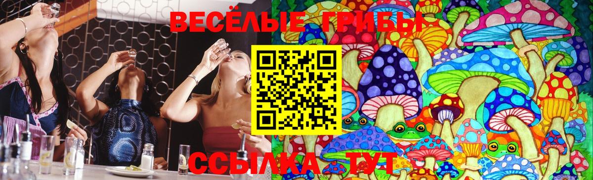Галлюциногенные грибы Psilocybe  Галлюциногенные грибы Magic Shrooms  Вход с VPN  Семилуки 